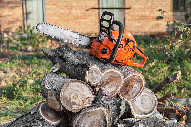 Residential Tree Removal